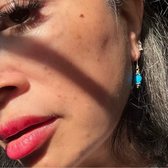 Turquoise Drop Earrings Sterling Silver Ear Hook Hypoallergenic - Picture 11 of 11